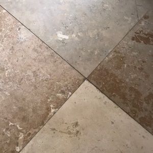 Meet your Posher, Ann